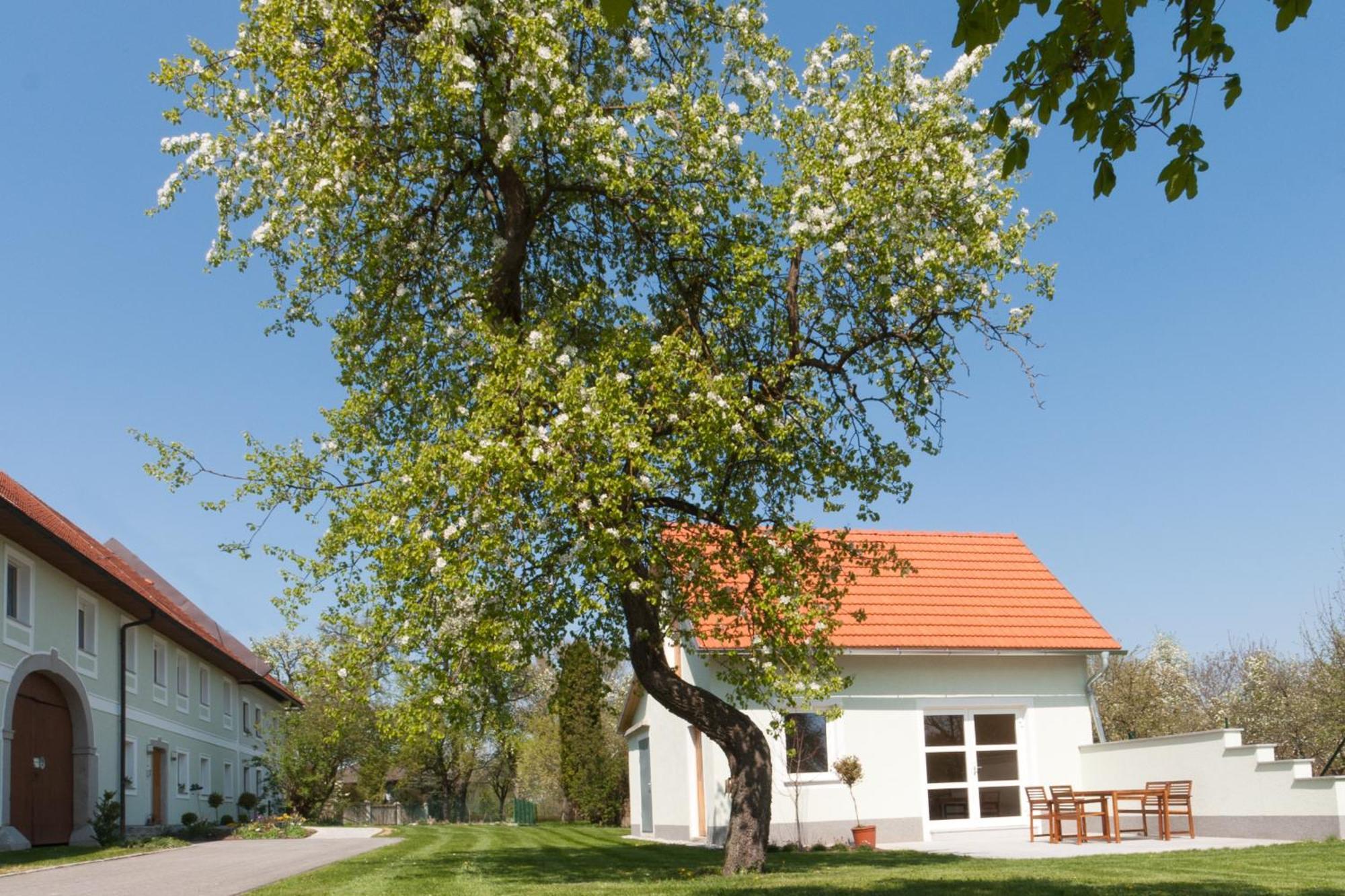 Landhaus Essl Dietach Екстериор снимка